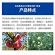 3.6% benzylaminopurine gibberellic acid growth regulator apple grape promotes fruit development and early maturity 5ml*10 bags