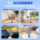 QuanShang German QuanShang丨Whole-house cooling electric fan floor fan air circulation fan silent first-level energy consumption shaking head home intelligent remote control timing ventilation fan office bedroom whole house speed drop 16 natural circulation wind magnetic remote control + silent atmosphere light