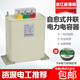 Zhejiang Weidekang self-healing low-voltage parallel power capacitor BSMJ0.45 three-phase reactive power compensation 30kvar 45603
