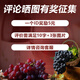 
Diyue Grape Spirits 500ml Chinese fruity sauce-flavored brandy grape distilled wine for festival high-end gifts with white wine Fruit fragrance Qingyunzhi 2 bottles gift box 500ml 42 degrees