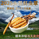 正品2025头期草新鲜冬虫夏草头茬虫草0.8克/根鲜虫草顺丰冷链发货 西藏鲜草每根0.5克30条送2条