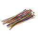 Dafuri single-head electronic wire SH1.0mm pitch connector connecting wire 2P/3P/4P/5P/10P 10CM wire 1.0-2P (5 pcs)