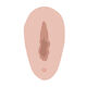 Male-to-female CD cross-dressing small toy panty insert thin hidden lower body fake vagina fake vagina