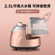 Haier hanging ironing machine for home vertical high power ironing machine for handheld steam ironing clothing store special Champagne gold vertical hanging ironing machine
