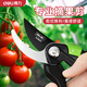 Deli branch pruning scissors, tomato flower gardening, special fruit picking scissors, garden pruners, fruit tree pruning scissors, 8-inch labor-saving model, free gloves + knife oil