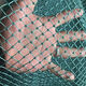 Chicken net, chicken net, fishing net, breeding net, fence net, nylon vegetable garden fence, climbing vine grid, chicken net, protective fish net, thickened 18 strands, 3 cm, thickened ribs, 1 meter high, 100 meters long