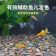 Stream stone ultra-fine bottom sand fish tank turtle tank bottom sand stream sand bottom stone fish tank landscaping stone native stone 1 to 3 cm 30-50 g