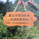Solid wood carving decoration door sign simulation garden pendant B&B wooden sign balcony courtyard retro residential home custom 25*10.8CM (style 1) May your life be pure and worry-free