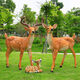 Fiberglass large animal sculpture simulated sika deer ornaments outdoor courtyard garden forest landscape lawn decoration classic doe