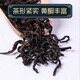 Peking Tongrentang Qingqianliu Chinesische medizinische Materialien Wildauthentisches Flaggschiff -Laden Jinqianliu Qingqianliu Tee Tender Sprossen Maulbeerblatt Tee Ersatztee in Wasser getränkt Qingqianliu 100g