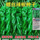 Four Seasons Planting Extra Large Spicy Pepper Thin-Skinned Spicy Chili Seeds Hangzhou Pepper Garden Potted Seasonal Vegetables Spicy Big Fruit Spicy Pepper Seeds New Species Selected 406 Capsules 7WQ
