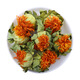 Peking Tongrentang Tibetaner Safranblüte und Obst echte neue chinesische medizinische Materialien Safran getrocknetes Früchte Tee und trinken medizinische Safransamen -Samen -Kugeln Ganze Blume 500 Gramm Safranfilamente [reine Filamente sind sauber und unschüssig.]