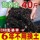 Universal nutritional soil for growing vegetables, nutritional soil for flowers, potted green plants and vegetables, universal flower soil, flower mud, organic soil wholesale, good soil, real fertilizer, mixed with rooting powder carbendazim 3Jin Jin is equal to 0.5 kg, universal nutritional soil, universal for melons, fruits, flowers and green plants