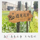 实木装饰挂牌家用阳台花园庭院实木DIY墙上挂件吾家小院创意门牌 款二30*14CM遇见花开
