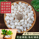 Runhuanian small white pebbles, succulent paving stones, flower cultivation pebbles, rain flower stone, fish tank landscaping basin, fine and full white pebbles 15-2mm 1Jin Jin is equal to 0.5 kg
