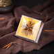 Shenxiang cordyceps sinensis hochhöhe Geschenkbox in Wasser und Suppe Geschenkbox Cordyceps Geschenkbox Geschenkbox Geschenkbox Geschenkbox 6g*2 Geschenkbox (ca. 72 Stück)