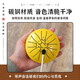 Yuan ethnic ethereal drum children's beginner mini percussion instrument adult professional mini pocket snare drum carbon steel flagship gift 4-inch 8-tone ethereal drum yellow small and portable丨crisp sound丨children's toy