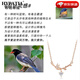 HYPATIA Eucalyptus has met the bird of relief 999 sterling silver necklace women's luxury niche clavicle chain birthday gift for girlfriend 999 silver Eucalyptus has met the necklace - rose gold
