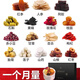 Guangyuelou Hanfang Sanjiang té maíz afeitado hojas de mora té de diente de diente de diente de diente de diente de diente de diente de diente de diente de diente de diente