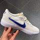 耐克（NIKE）男鞋2025年夏季新款SB复古板鞋生胶底运动低帮休闲鞋 CD5010-105 40.5