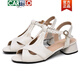 CARTELO Summer Fish Mouth Shoes New Thick Heel Sandals Women's Retro Temperament Women's Shoes Low Heel Leather Single Shoes Women's Fashion Sandals 520-5 [3.5 cm Heel Heel] Apricot 35