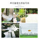 Runhua Nian micro landscape white pebbles Yuhua stone succulent plant paving stone fish tank flower pot decoration small stones 1Jin Jin equals 0.5 kg (9-12mm) white pebbles