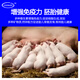 Zhengzhou Kangdi 8% lactating sow premix lactating sow feed feed pregnant sow premix replacement sow pregnant sow (breeding - 85 days of pregnancy)