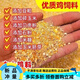 OIMG corn kernels for chicken feed, laying hens, full price feed, chicken, duck, goose, quail 100Jin, Jin is equal to 0.5kg, chicken food formula 50.08Jin, Jin is equal to 0.5kg, express delivery to towns and villages, chicken, duck, goose, quail