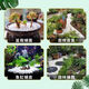 Runhuanian small white stone succulent paving stone flower cultivation pebbles rain flower stone fish tank landscaping basin fine full white stone 3-6mm 1Jin Jin is equal to 0.5 kg