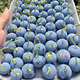 Strawberry seeds, blueberry seeds, blueberry saplings, raspberry seeds, potted blue plum trees, fruit trees, rabbit eyes 300 capsules (blueberry)
