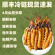 Luzhangtang 2025 frisches Cordyceps sinensis Cordyceps SF Express kaltes Ketten Direktes Haar ausgewähltes frisches Gras, jeweils tibetischer frischer Cordyceps 0,9 Gramm, 30 Stücke