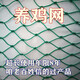 Chicken net, chicken net, fishing net, breeding net, fence net, nylon vegetable garden fence, climbing vine grid, chicken net, protective fish net, thickened 18 strands, 3 cm, thickened ribs, 1 meter high, 100 meters long