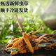 正品2025头期草新鲜冬虫夏草头茬虫草0.8克/根鲜虫草顺丰冷链发货 西藏鲜草每根0.5克30条送2条