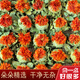 Peking Tongrentang Tibetaner Safranblüte und Obst echte neue chinesische medizinische Materialien Safran getrocknetes Früchte Tee und trinken medizinische Safransamen -Samen -Kugeln Ganze Blume 500 Gramm Safranfilamente [reine Filamente sind sauber und unschüssig.]
