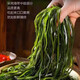 鲜海带 盐渍海带丝 海带凉拌菜鲜嫩 盐渍海带丝2.5kg