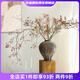 Wen Shi Ou Shan Return natural plant dried flower bouquet living room decoration wabi-sabi wind flower arrangement dry branches decorative ornaments dry branches Shan Return Light Branch No Fruit 3 dried flowers 100-115c