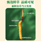Cordyceps frais Sinensis Verrouillage sous vide Emballage frais Sf Express Chaîne froide Origine droite Sélection de cheveux Big Gras