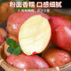 Jingxiansheng Yunnan red potatoes net weight 3Jin Jin is equal to 0.5 kg single fruit 80g + red skin yellow heart potato potato potato straight from the source