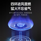 德意（DE&E）燃气灶 钢化玻璃 双眼灶具 5.2kW大火力 高热效率 全尺寸适配嵌入式灶具JZT-716A（天然气）