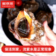 Fresh Jingcai fresh conch, net weight 2Jin Jin is equal to 0.5kg, 5-7 pieces/Jin Jin is equal to 0.5kg, fresh to your home, fresh seafood, straight from the source