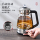 Chigo tea maker steam spray tea kettle small mini health pot black tea tea kettle office tea steamer fully automatic tea stove electric kettle 1.2L with insulation