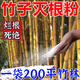 Bamboo-killing medicinal bamboo root rotten root powerful killer bamboo king kills bamboo and bamboo-killing bamboo rotten bamboo root rotten powder. One barrel. One Jin Jin is equal to 0.5 kilograms.