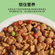 He Jian Gong dog food big bag 40 Jin Jin is equal to 0.5 kg 20 Jin Jin is equal to 0.5 kg 10 Jin Jin is equal to 0.5 kg 5 Jin Jin is equal to 0.5 kg Universal type for all dog stages, adult dogs, puppies, all dog breeds, universal large dogs, double grain meat grains, universal for all dog breeds 10kg20 Jin Jin is equal to 0.5 kg