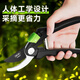 Deli branch pruning scissors, tomato flower gardening, special fruit picking scissors, garden pruners, fruit tree pruning scissors, 8-inch labor-saving model, free gloves + knife oil