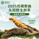 Ayishe Tibet's First 2025 Wild Fresh Cordycess Sinensis, воздушная груза, подарочная коробка для питательных продуктов для старейшин, 20 грамм дикой свежей травы