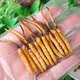 
Tibetan Girl's Extra Grade Fresh Cordyceps Cordyceps Tibetan Area Wild Cordyceps Gift Box Inn Genuine Holiday Gifts Gifts to Parents and Elders [Fresh Cordyceps About 0.5g/root] 20 Roots