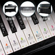 Yuan ethnic color piano keyboard stickers, glue-free electronic keyboards, universal 88/61/54 key children and adults staff note stickers, color electrostatic stickers, universal piano/electronic keyboard/electric steel smooth keys