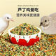 Rutin chicken special feed Rutin chicken egg production feed mealworm brooding feed quail feed high protein 5Jin Jin is equal to 0.5 kg egg production food containing mealworm dried vegetables