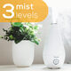BEURER 2-in-1 essential oil aromatherapy humidifier, ultrasonic cool mist, night mode, 2L water tank, suitable for bedroom, white