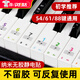 Yuan ethnic color piano keyboard stickers, glue-free electronic keyboards, universal 88/61/54 key children and adults staff note stickers, color electrostatic stickers, universal piano/electronic keyboard/electric steel smooth keys